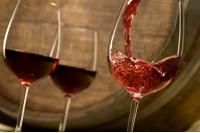 Vinothek - Rotweine Vinothek - Rotweine